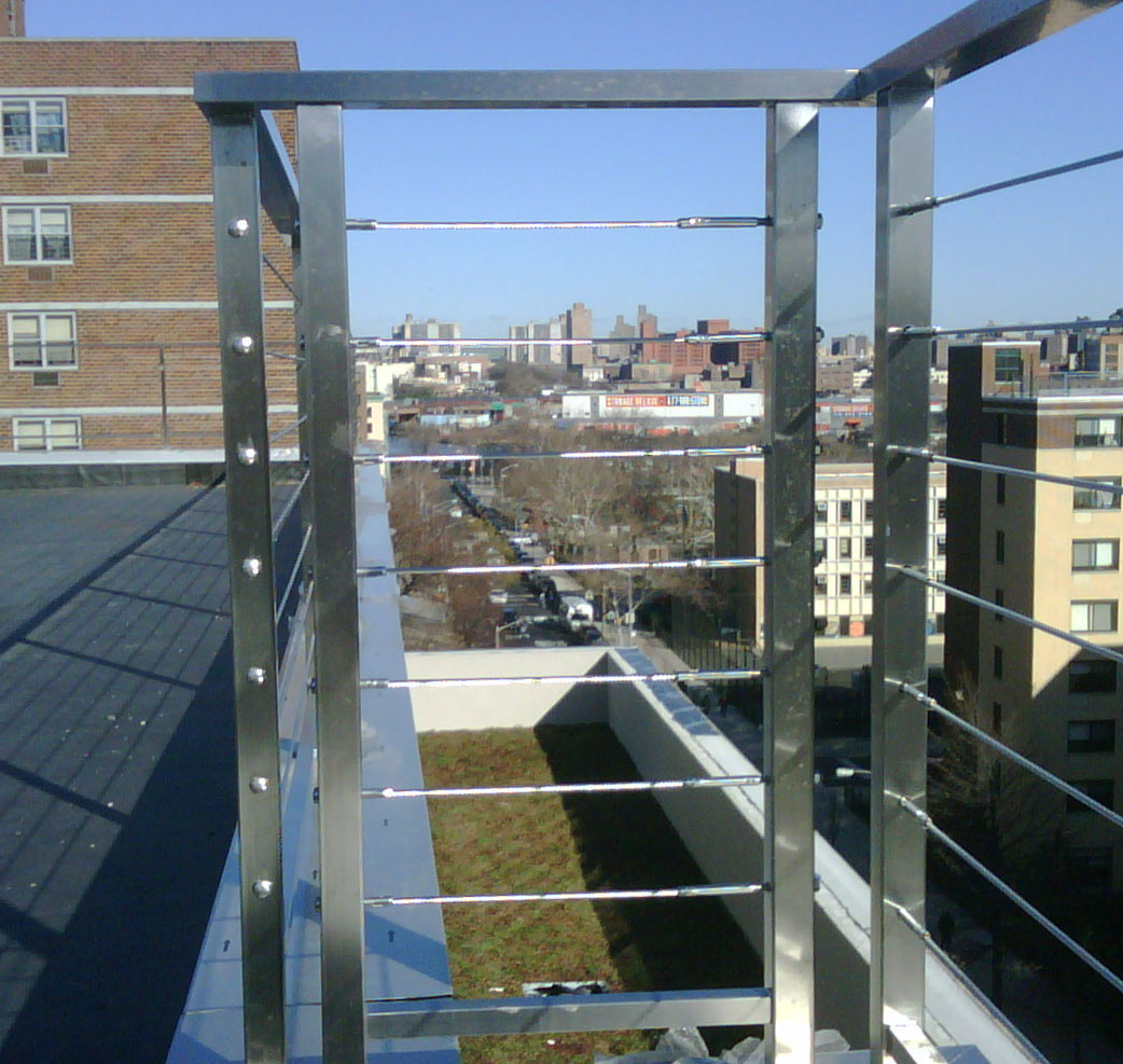 IMG00202-20091217-1147